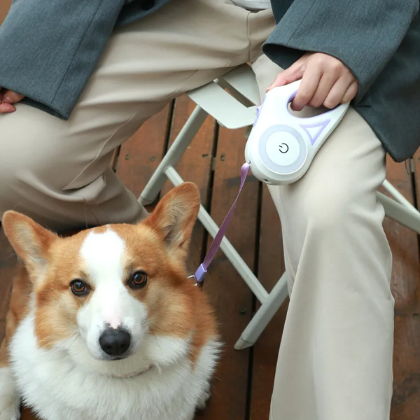 LED Retractable Dog Leash – Stay Visible & Walk Safe at Night