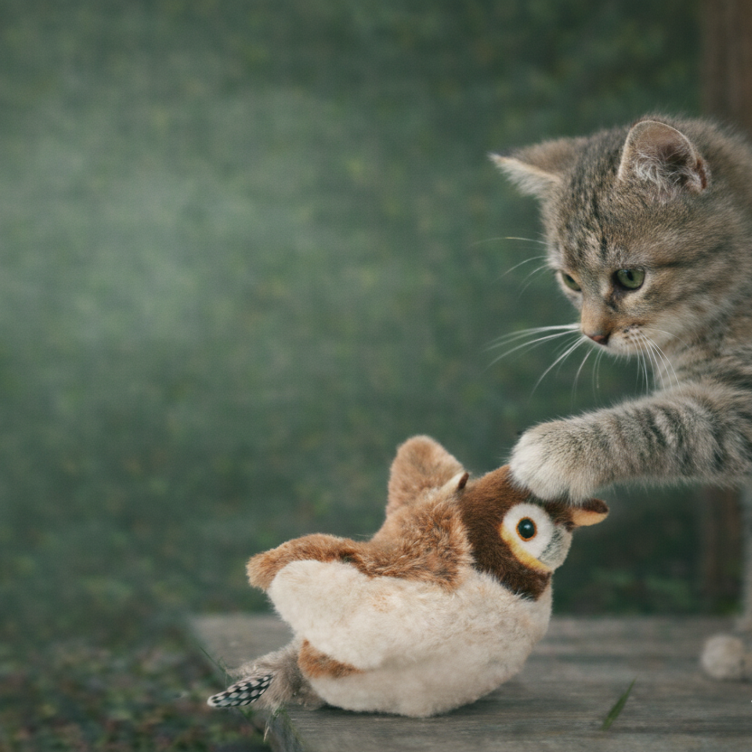 Interactive Flapping Bird Toy