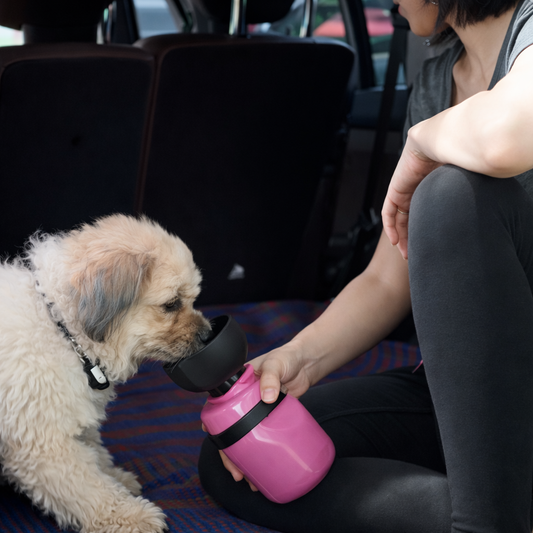 Portable Pet Drinking Cup – Leak-Proof & Foldable Travel Bottle