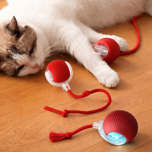 Balle interactive intelligente pour chat